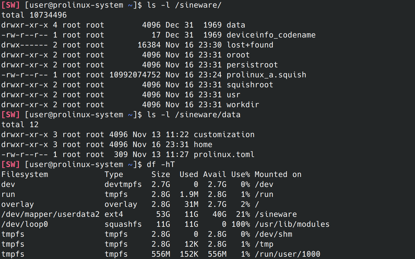 ls output of the disk/real root